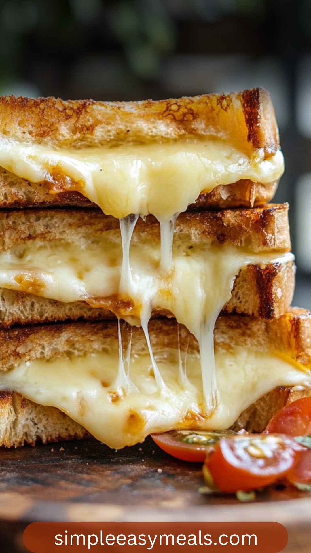 Brie Grilled Cheese Sandwich Recipe Simple Easy Meals(02)