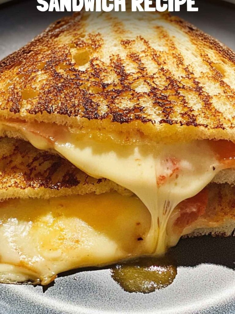 Grilled Cheese Panini Sandwich Recipe