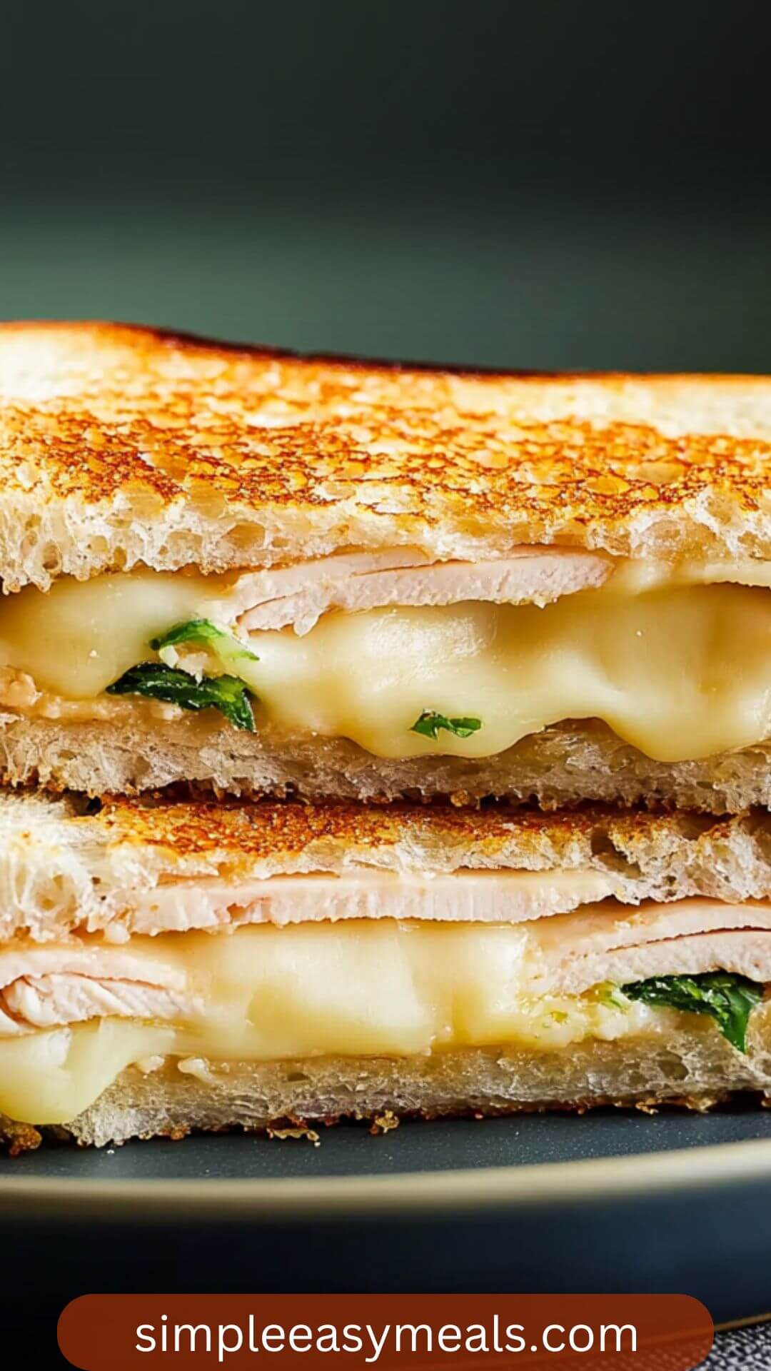 Best Turkey Grilled Cheese Sandwich Recipe