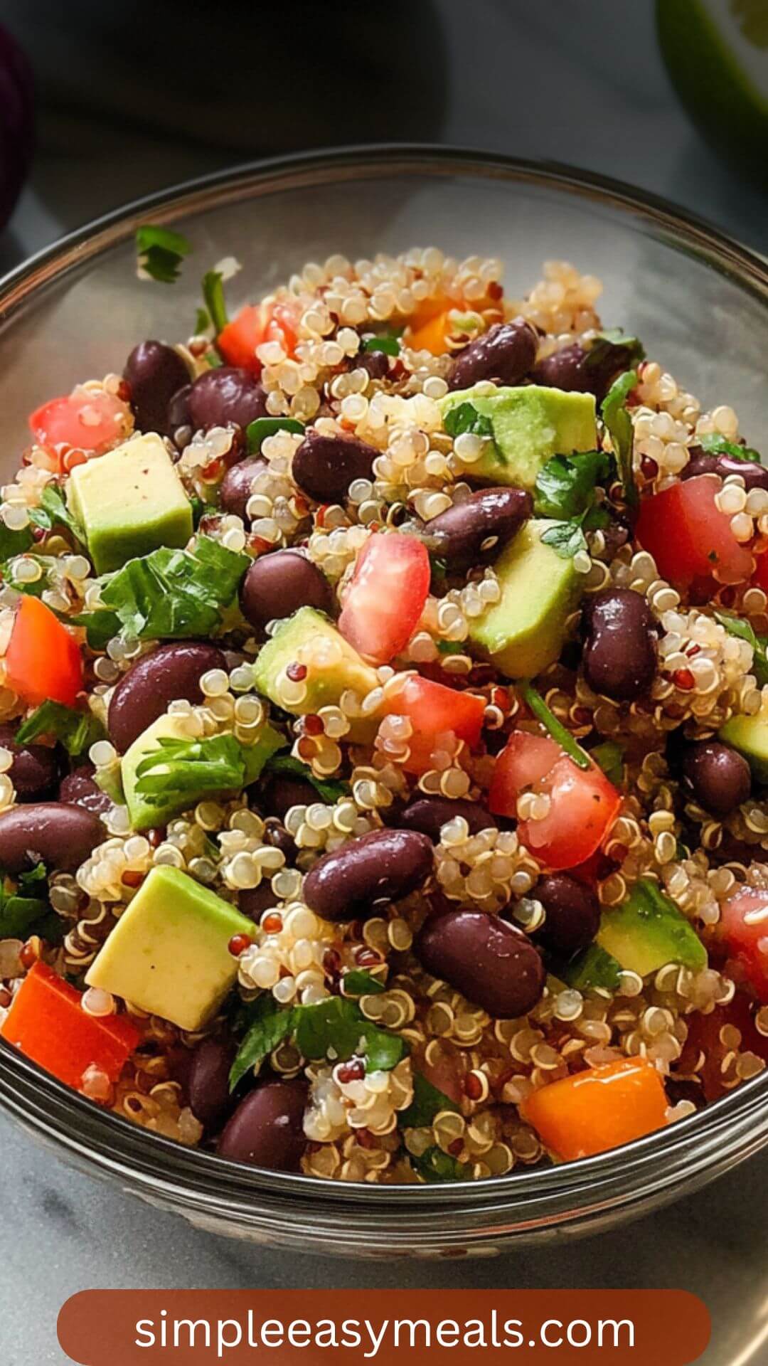 Best Quinoa and Black Bean Salad Recipe