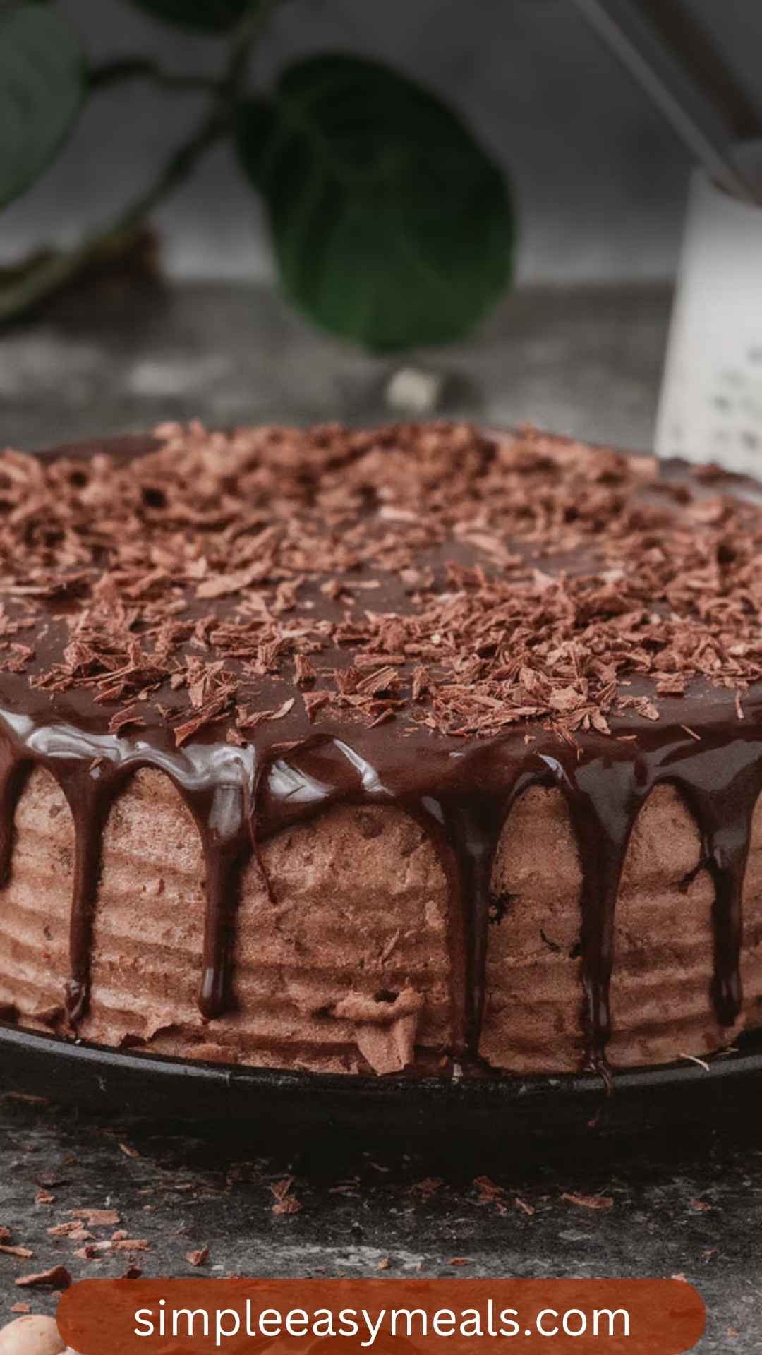 How to Make No Bake Chocolate Cake How to Make No Bake Chocolate Cake