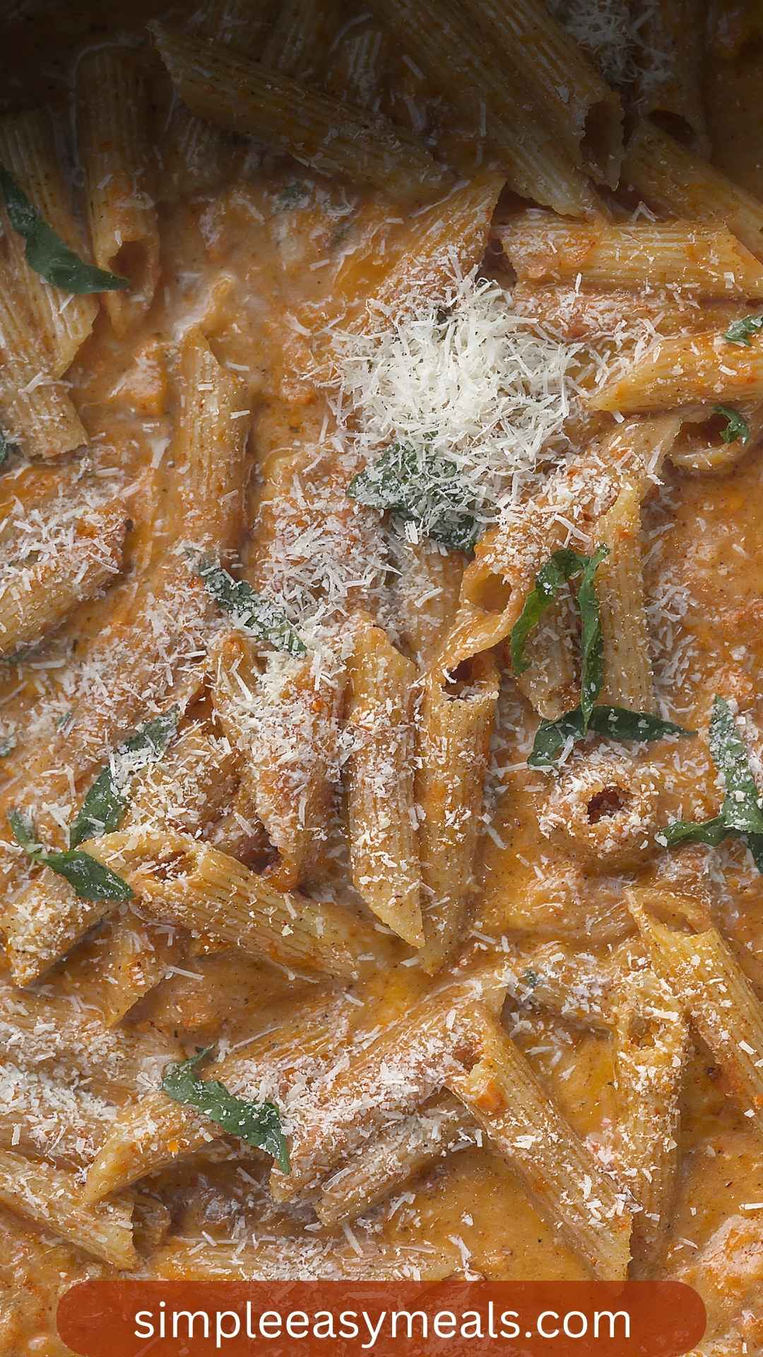 Best Penne alla Vodka